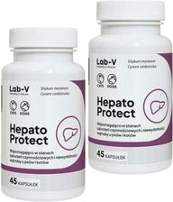 Lab-V Hepato Protect Wspomaganie Funkcji Wątroby Dla Psów I Kotów 2X45kaps.