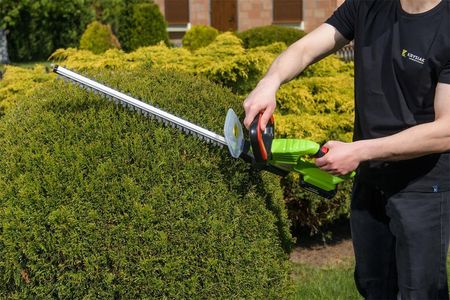 うさたま 東京ディズニーランド ディズニー・イースター 2017 : Disney