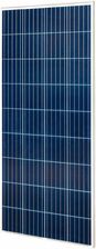Zdjęcie Volt Panel Solarny Polikrystaliczny 140W - Czarna Białostocka