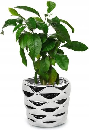 Polnix Doniczka Osłonka Ceramiczna Nowoczesna 12,5cm - zdjęcie 2
