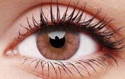 Maxvue Vision Soczewka Kolorowa ColourVue Foamy Beige -1,50