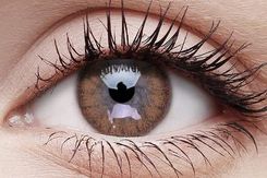 Maxvue Vision Soczewka Kolorowa ColourVue Woody Brown -2,25