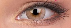 Maxvue Vision Soczewka Kolorowa ColourVue Signature Brown -4,00
