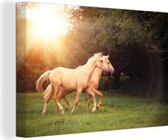 OneMillionCanvasses 140x90cm Konie Las Słońce Replika (47-1353687)