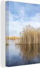 OneMillionCanvasses 90x140cm Trzcina Wzdłuż Jeziora W Parku Narodowym Neusiedler See-Seewinkel Replika Zdjęcie (47-1319391) - zdjęcie 1