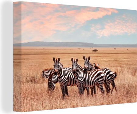 OneMillionCanvasses 140x90cm Zebry Na Wsi Replika (47-1283749)