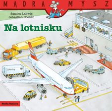 Zdjęcie Na Lotnisku. Mądra Mysz - Mieroszów