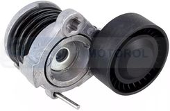 Zdjęcie Denckermann Napinacz Paska Wielorowkowego P450002 - Dobczyce