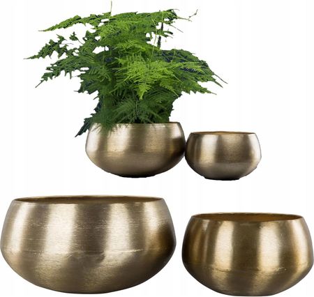 Skandi.Pl Doniczka Na Bonsai Dua Zota Metalowa 2szt. Osonka Donica Do  Domu Salonu - Ceny i opinie - Ceneo.pl