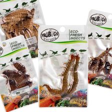 Probugs Big Reptiles Set Zestaw Robaków Dla Dużych Gadów