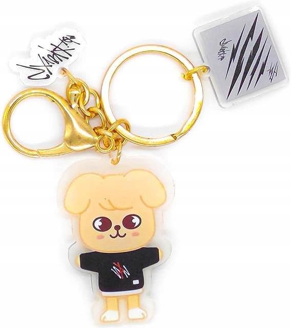 Stray Kids SKZ Karma Pop Up Pob Fotokarten -Vorbestellung Stray Kids SKZ Karma Pop Up Pob Fotokarten -Vorbestellung