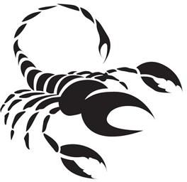Szabloneria Szablon z Tworzywa Znak Zodiaku Skorpion