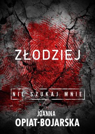 Złodziej. Nie szukaj mnie. Tom 1  - Wiosenne ceny HITÓW z odbiorem za 0 zł lub wysyłka od 6,99 zł