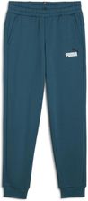 Zdjęcie Dziecięce Spodnie Puma Ess+ 2 Col Logo Pants FL CL B 58698808 – Zielony - Piotrków Kujawski