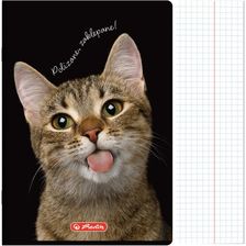 Zdjęcie Herlitz Zeszyt A5 60K Kratka Z Marginesem Crazy Animal 400196837 - Koluszki