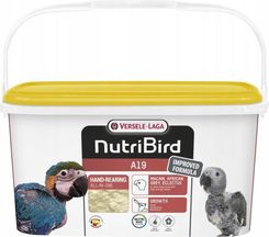 Versele Laga Versele Laga Nutribird A19 Pokarm Do Ręcznego Karmienia Piskląt 3Kg Versele Laga Nutribird A19 3Kg Pokarm Do Ręcznego Karmienia Piskląt