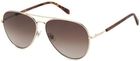 Fossil FOS3104/G/S DM2/HA ONE SIZE (61)