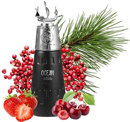 Nabeel Ocean Woda Perfumowana 100ml