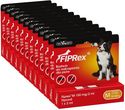 Fiprex Pipeta krople na pchły i kleszcze dla średnich psów M (10-20kg) 2ml x12 – ZESTAW na 12 m-cy