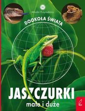 Zdjęcie Jaszczurki małe i duże. Młodzi przyrodnicy - Buk