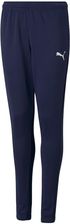 Zdjęcie Puma Spodnie dla dzieci Puma teamRISE Poly Training Pants Jr granatowe 657391 06 - Nowe Brzesko
