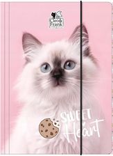 Zdjęcie Derform Teczka Z Gumką A4 Cleo I Frank 45 Kot Tga4Cf45 - Dynów