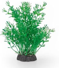 Aqua Natura Roślina Do Dekoracji Akwarium Zielona Plastikowa 20Cm Drobnolistna