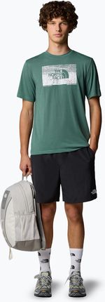 Koszulka męska The North Face Foundation Abstract Graphic Tee duck green Wiosna 2025
