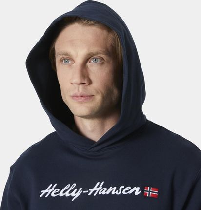 Helly Hansen męska bluza CORE GRAPHIC SWEAT HOODIE 53924 596 - zdjęcie 2