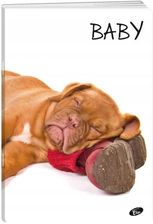 Zdjęcie Elisa Zeszyt A5 Miękka Okładka 32K Linia Baby - Wrocław