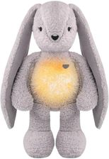 Zdjęcie Szumiś królik szary z lampką 5w1 Szumisie - Strzelce Krajeńskie