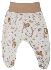 Zdjęcie 08253-62 MAKOMA - Półśpioch Nature r. 62 - Żywiec