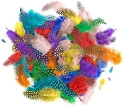 Zdjęcie Dalprint Piórka Bażanta 4 7Cm 10G Brights - Łódź
