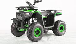 Zdjęcie Ramiz Pojazd Quad Spalinowy 120Cc Discoverer Zielony - Boguchwała