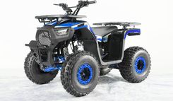 Zdjęcie Ramiz Pojazd Quad Spalinowy 120Cc Discoverer Niebieski - Zgorzelec