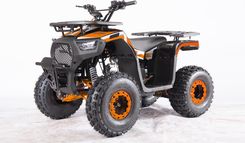 Zdjęcie Ramiz Pojazd Quad Spalinowy 120Cc Discoverer Pomarańczowy - Boguchwała