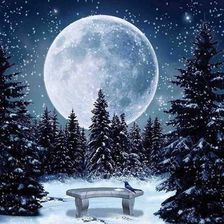 Zdjęcie Norimpex Diamentowa Mozaika Zimowy Księżyc 30X40 - Sierpc