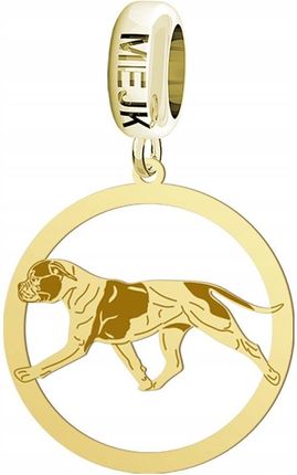 Charms Modułowy Pozłacany Buldog Amerykański 925 Kobieta Prezent DEDYKACJA