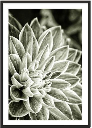 Obraz Plakat W Ramie 53X73Cm Boho P2235
