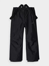 Zdjęcie Spodnie Narciarskie 4F Jr 4Fjwaw24Tftrf659-20S - Dynów