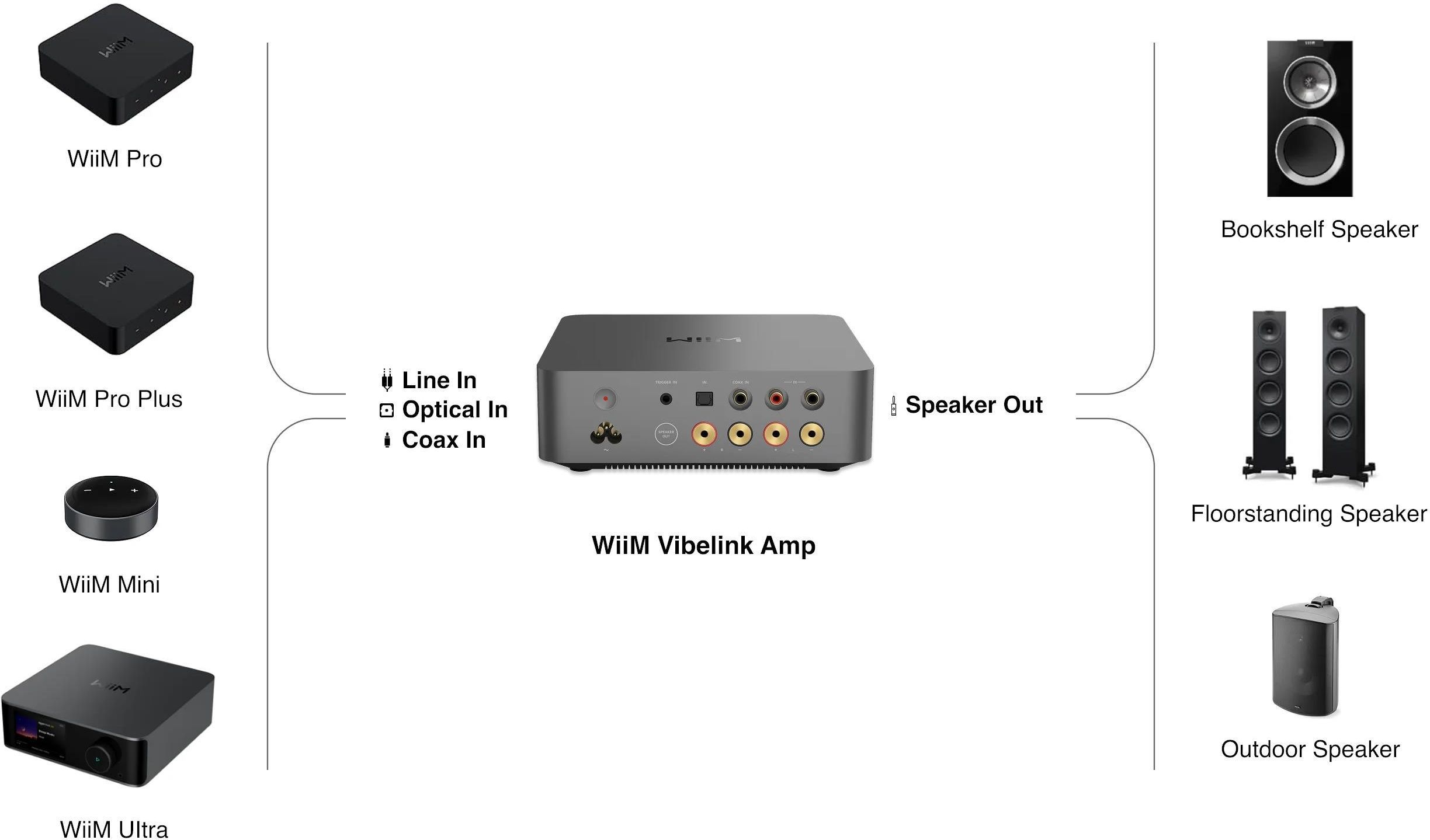 фото Стерео підсилювач WiiM Vibelink Amp Silver