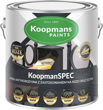 Zdjęcie Koopmanspec Farba Antykorozyjna 0,75l 7046 - Warta