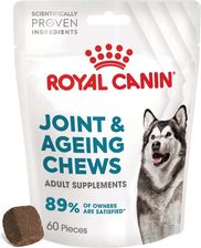 Royal Canin Supplements Dog Joint & Ageing Suplementy Dla Psów Dorosłych W Postaci Przysmaków Wspierające Prawidłowe Funkcjonowa 240G
