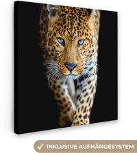 Muchowow Obraz Na Płótnie Leopard Zwierzęta Portret Dzika Przyroda Czarny 20X20Cm (36782419)