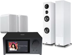 Nad M10 V3 Czarny + Imagine T54 Biały + Pulse Flex 2I Biały