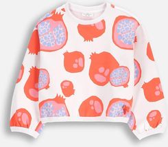 Bluza dresowa biała z nadrukiem w owoce