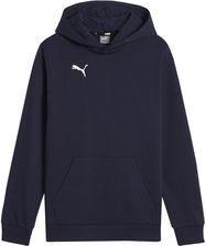 Zdjęcie Bluza Z Kapturem Dziecięca Team Goal Casual - Puławy