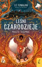 Zdjęcie Miasto tajemnic. Leśni czarodzieje. Tom 2 - Mikstat