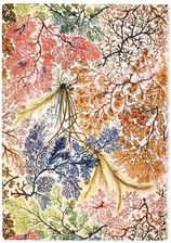 Zdjęcie Notatnik Linia Anemone Midi - Świdnik