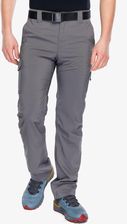 Zdjęcie Spodnie turystyczne męskie Columbia Silver Ridge Utility Pant - city grey - Kraków